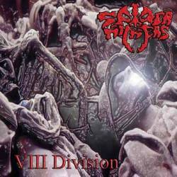 Spider Kickers : VIII Division